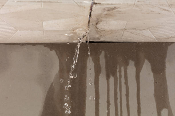 Professional Burst Pipe Cleanup technician working in Bartlett, IL